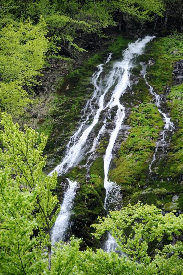 Gorska Hiska Vogar Nad Bohinjskim Jezerom 외부 사진